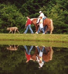 Horse by Lake